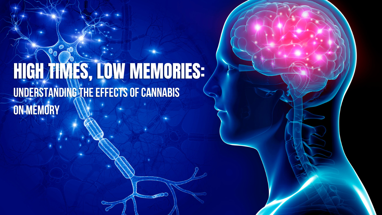 High Times, Low Memories: Understanding the Effects of Cannabis on Memory