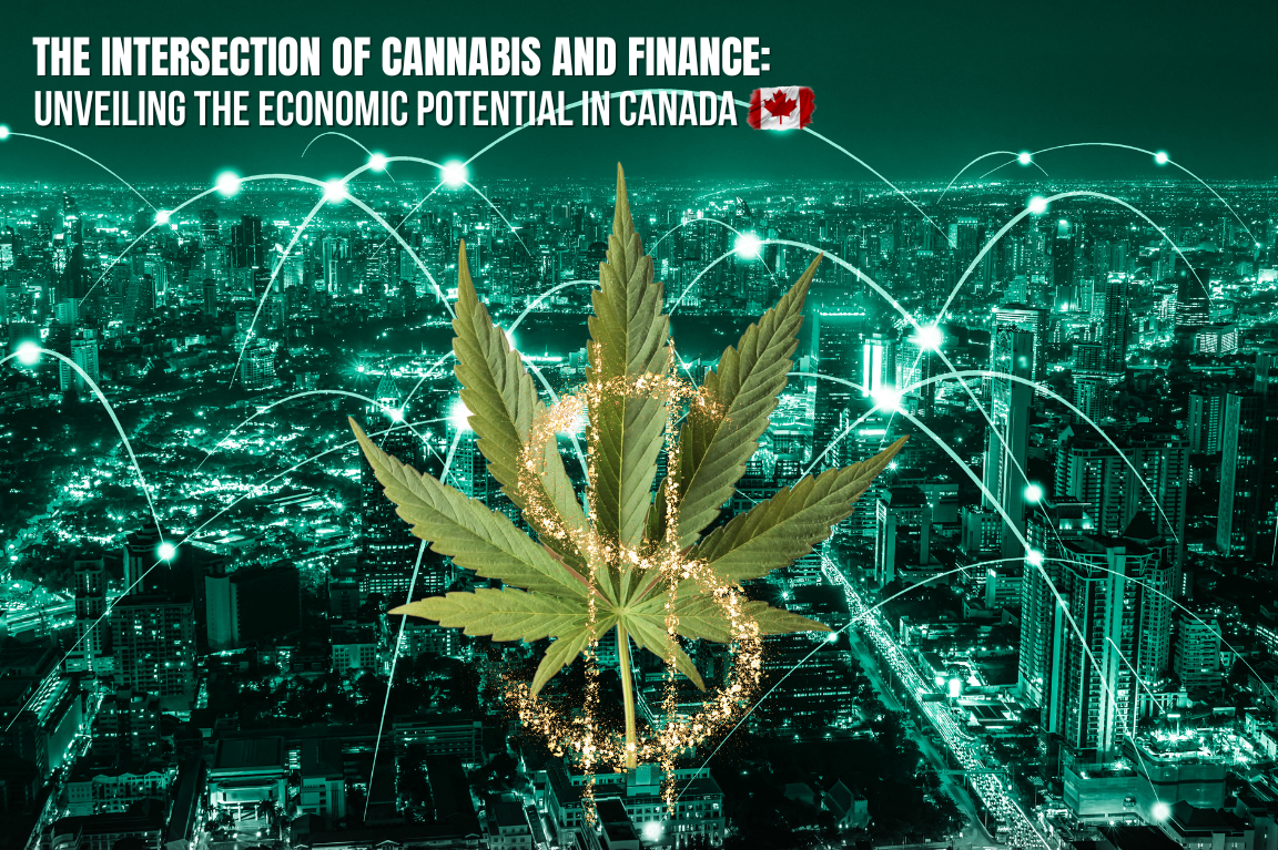 The Intersection of Cannabis and Finance